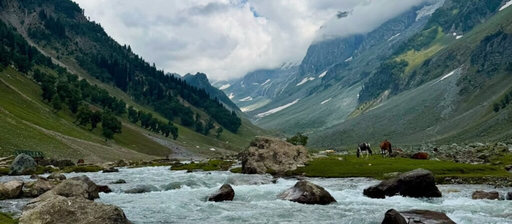 woodswalk-treks-and-tours Pahalgam